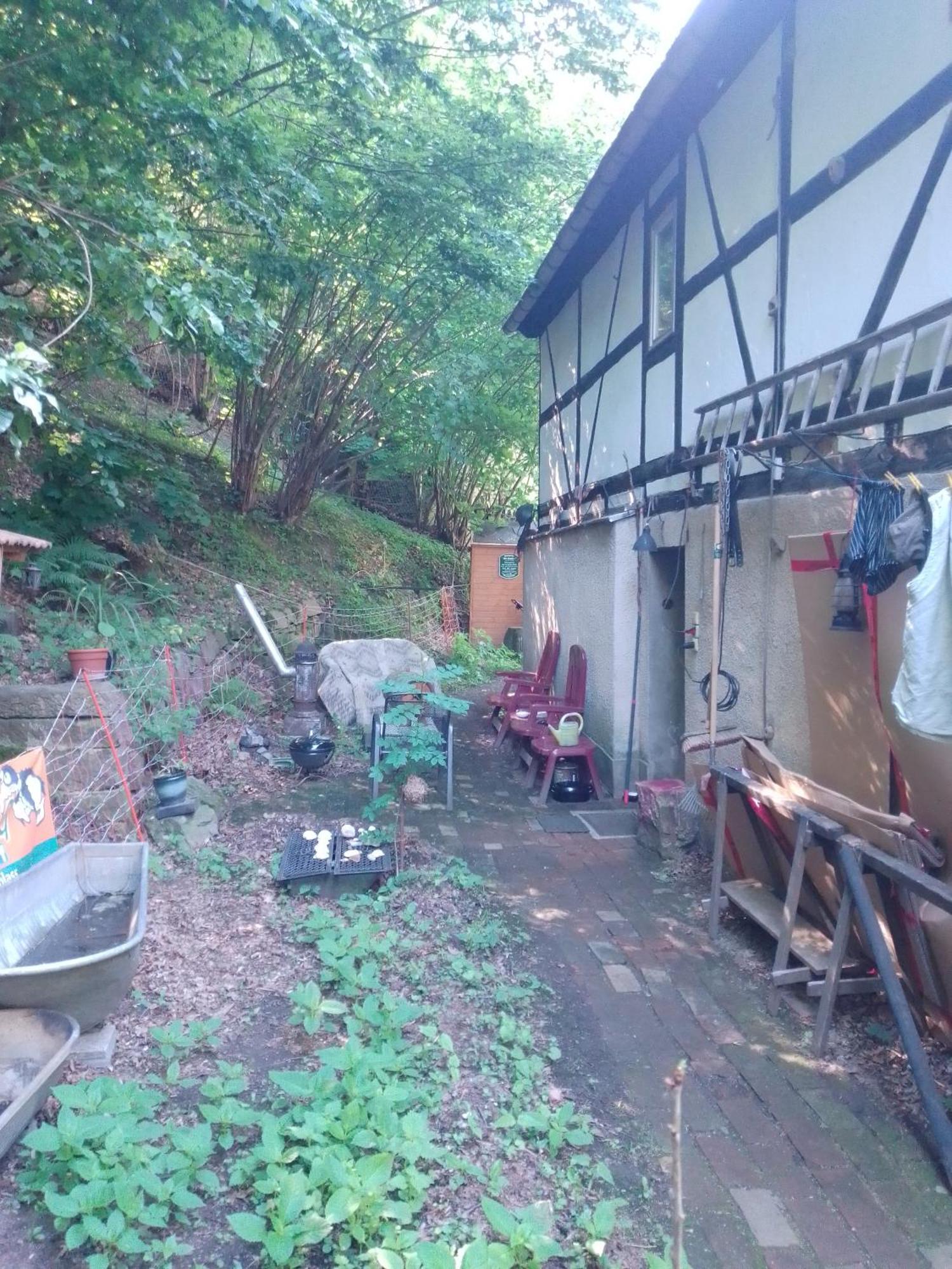 Ruhig Und Spartanisch Wohnen Im Denkmal Lichtenwalde Buitenkant foto